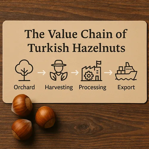 Hazelnut value chain overview