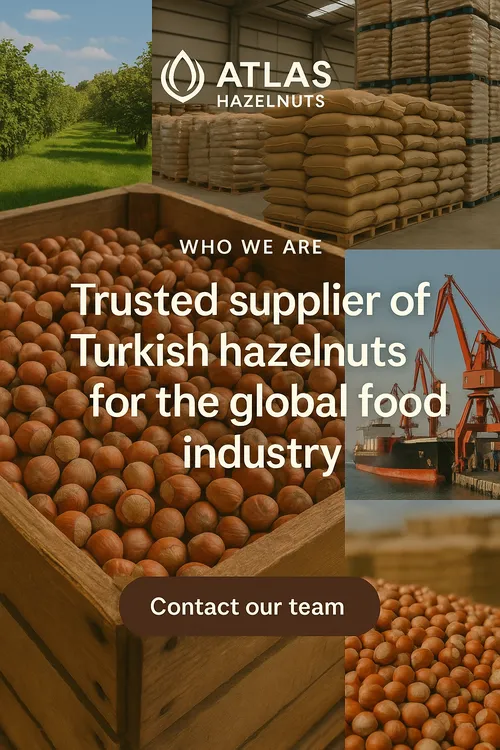 Turkish hazelnut orchards and processing